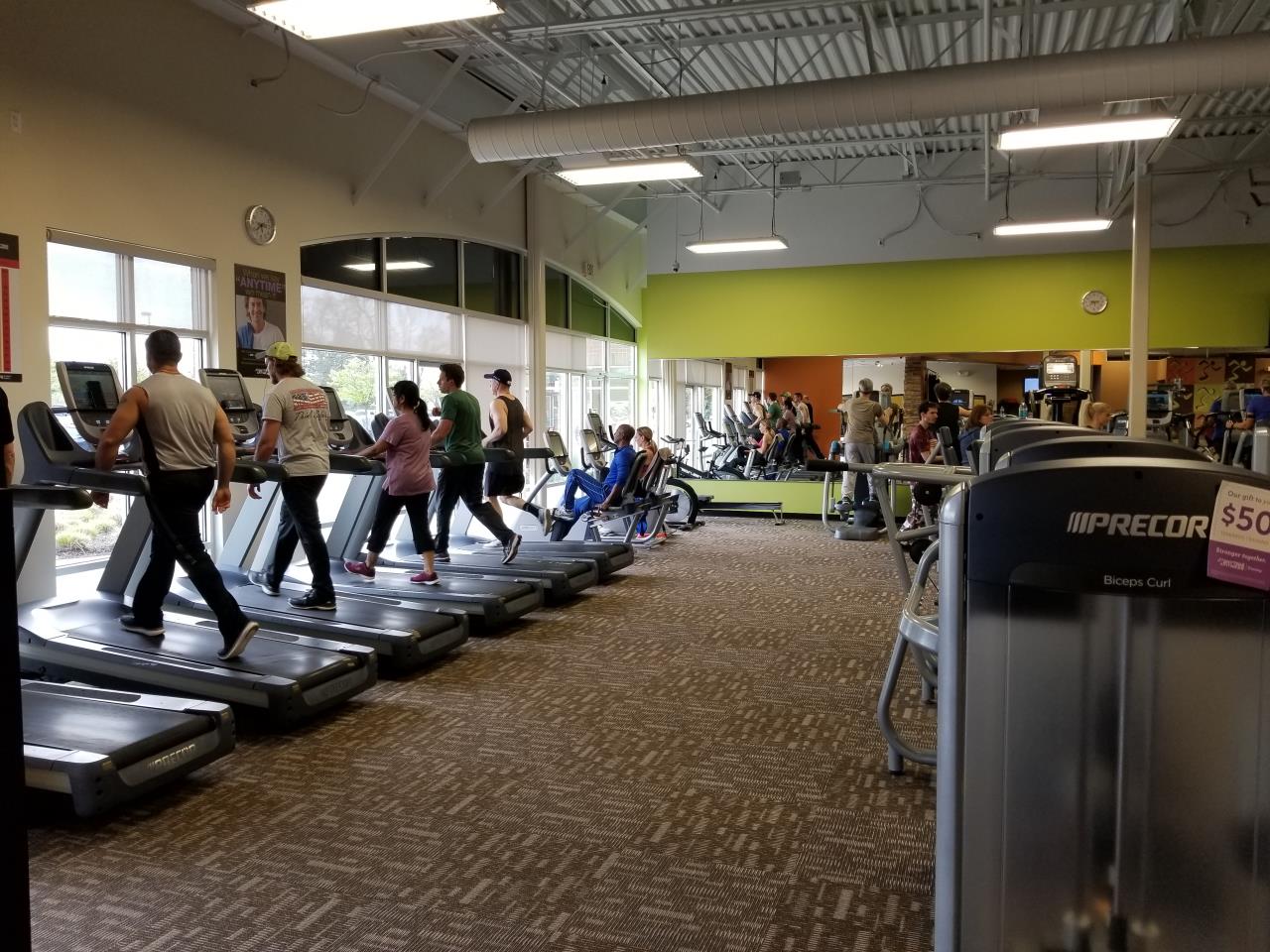 Novi 2903 Gym Images